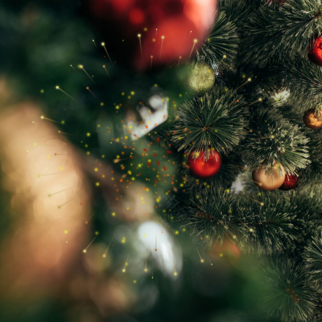 Świąteczna przerwa w&nbsp;Crazy Pig Kraków